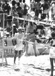 Old Style Beach Tour, North Avenue Beach, Chicago