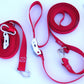 5DRGS-a pair of middle guy lines red 1-inch webbing cam-buckle spring snap connection