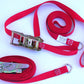 8LSLGD-pair of red 1-inch webbing ratchet-buckle guy lines dee ring connection